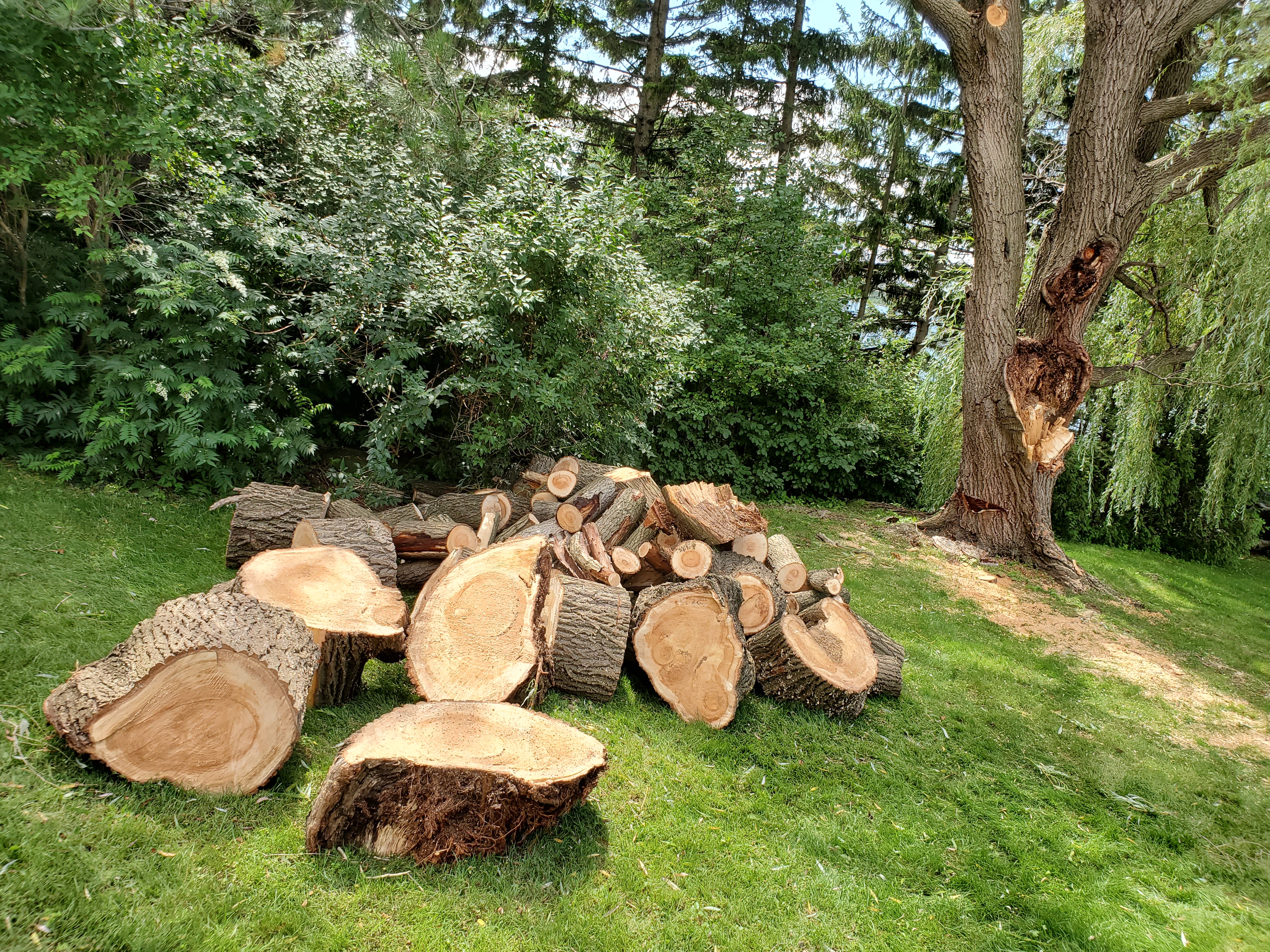 Essouchage sur chantier